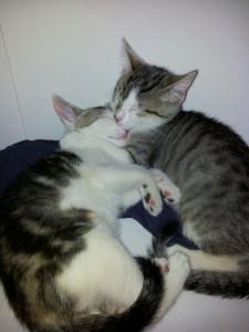 Marie und Juno