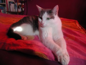 Figaro